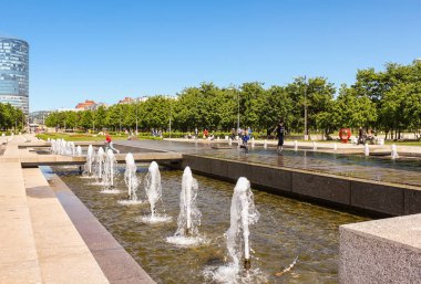 St. Petersburg, Rusya - 15 Haziran 2017. Park St Petersburg 300 yıl yaz aylarında türleri.