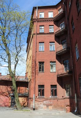 Evin yakınında ağaç.