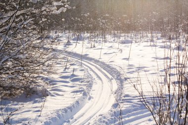 Kayak parça üzerinde güneşli bir sis.