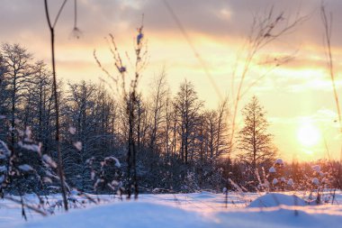 Kış akşam aydınlatma.