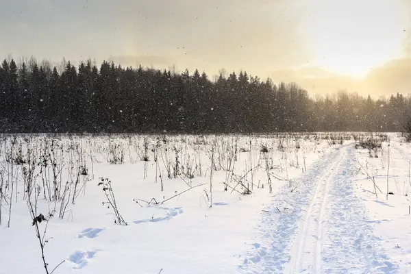 Snowfall in the field. — Stock Photo, Image