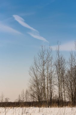 Gökyüzünde bulut vidalanır..
