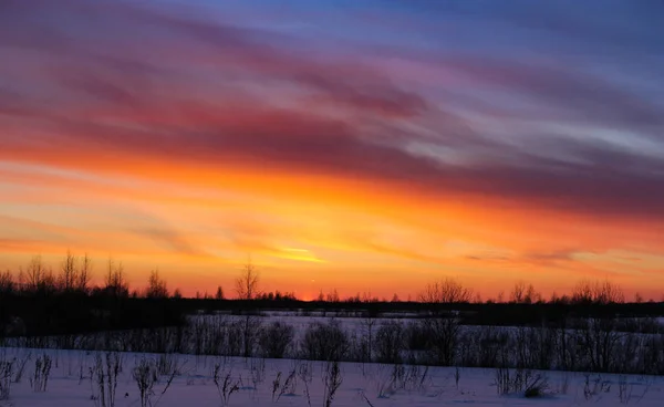 Crimson winter zonsondergang. — Stockfoto