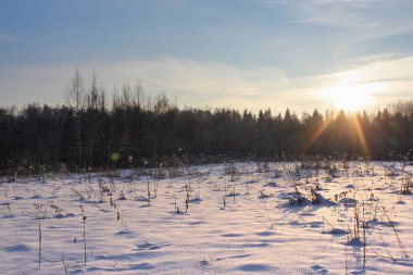 Güneşin üzerinde ormandır.