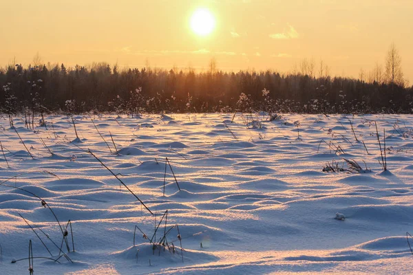 Fény és árnyék téli területén. — Stock Fotó