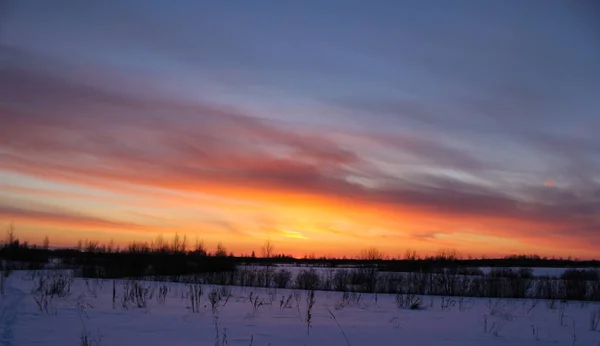 Fagyos téli naplemente. — Stock Fotó