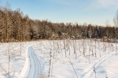 orman boyunca kayak parça.