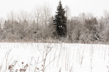 Bir kış günü kar yağışı.