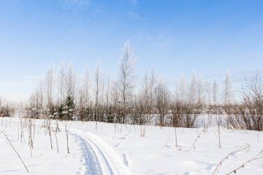 Kayak parça alanında.