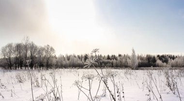 Güneşin sevdanın içinde olduğunu.