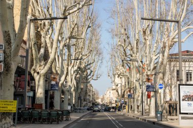 Yol boyunca çıplak ağaçlar.