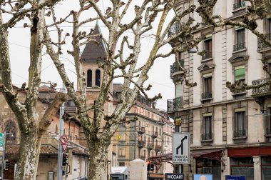 Bir ağaç dalı arkasında evleri.