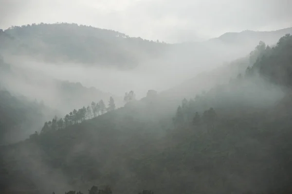 Склоны в тумане . — стоковое фото