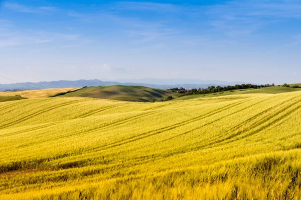 Campos en Toscana, Italia — Foto de Stock