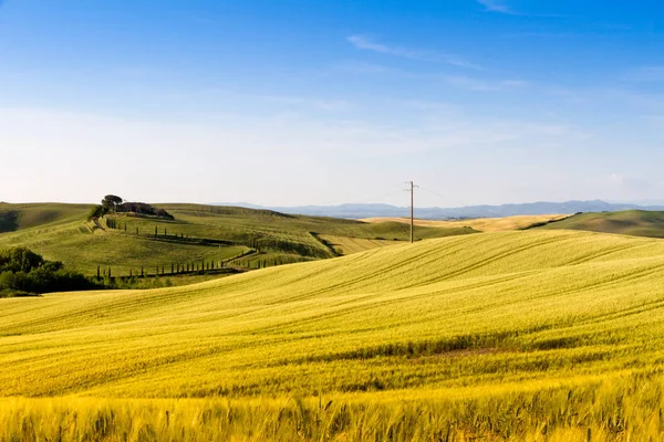 Fields in Tuscany, Italy — Stock Photo, Image