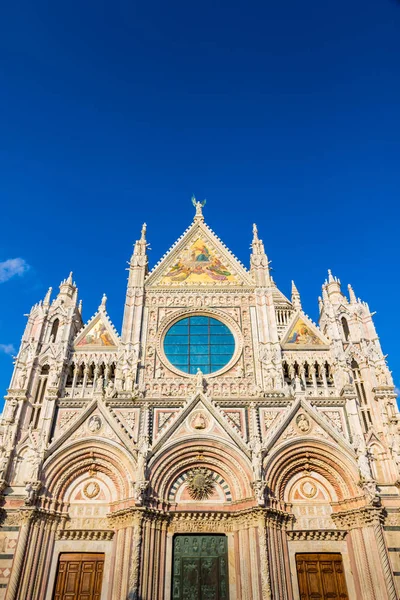 Siena duomo, Olaszország — Stock Fotó