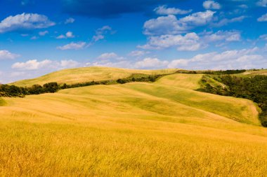 Alanları Toskana, İtalya