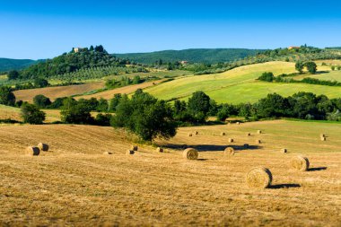 haycock and trees in sunny tuscan countryside, Italy clipart