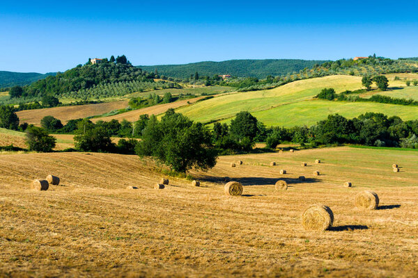haycock and trees in sunny tuscan countryside, Italy