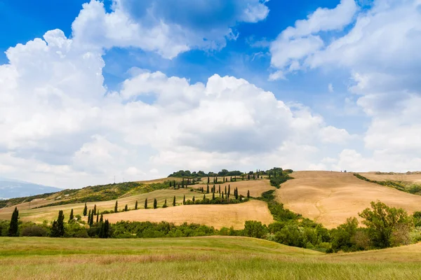 Slingrande väg flankerad med cypresser i crete senesi Toscana, Ita — Stockfoto