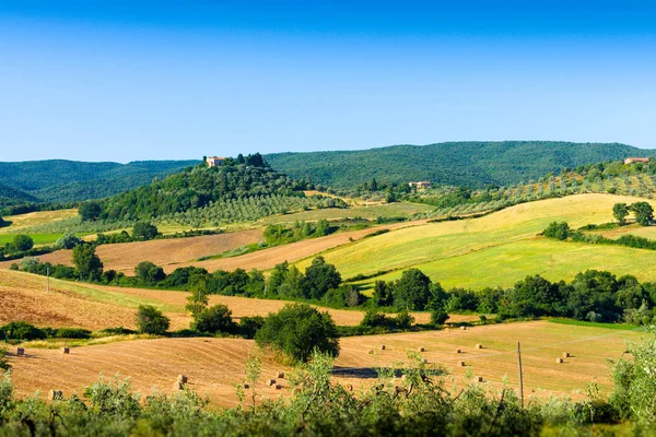 Typical tuscan country panorama near Massa Marittima (GR), Italy — Stock Photo, Image
