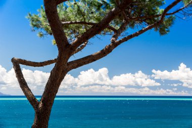 Güzel bir yaz günü denizde İtalya