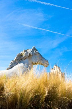 Saintes-Maries-de-la-Mer Camargue 'nin başkentidir.