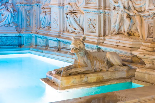 Particular of Fonte Gaia (1400s) at night in the center of Siena — Stock Photo, Image