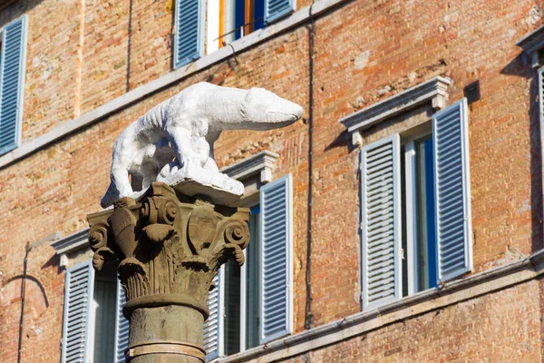 Siena Toscana Italia Loba Sienesa Situada Pantaneto Día Soleado — Foto de Stock