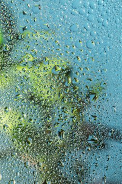 Mavi arkaplanda yağmur damlaları olan yeşil bitki