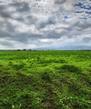 Bulutlu gökyüzü ve yeşil arazili manzara