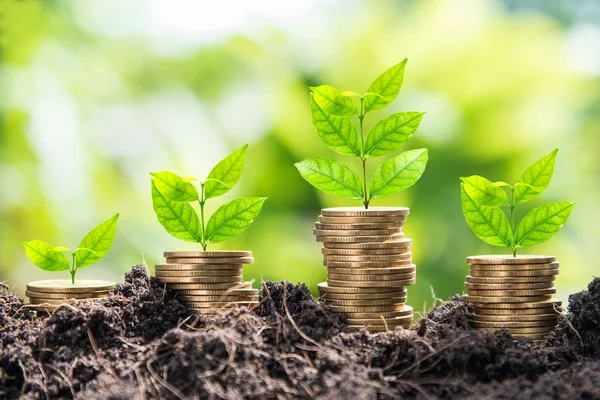 Crecimiento de monedas de oro en el suelo con fondo de hoja verde — Foto de Stock