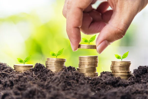 Man hand munten ingebruikneming groei van gouden munten in de bodem met — Stockfoto