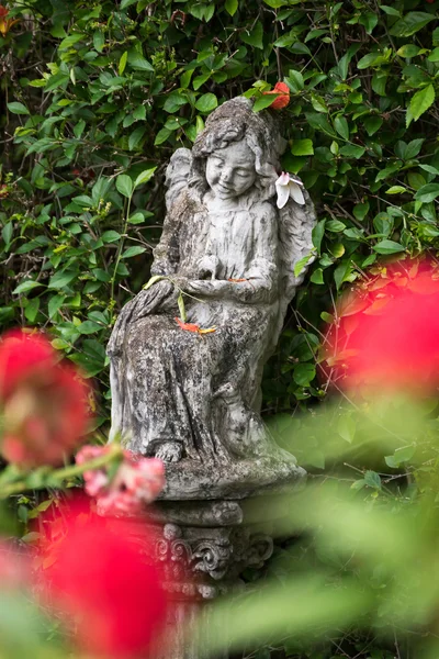 Heykel Bahçe yeşil yaprakları arka plan ile