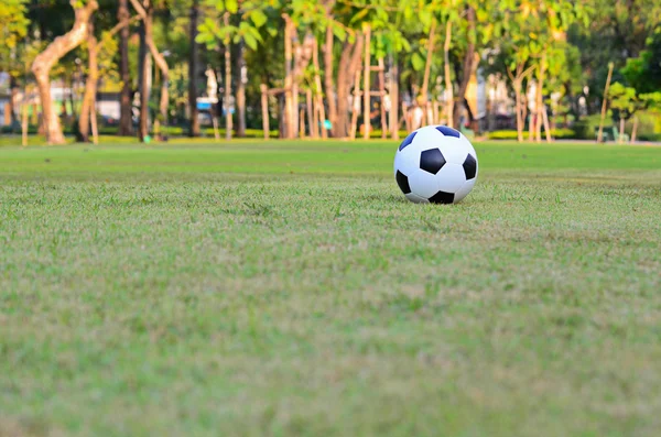 Football or soccer ball on green grass field — Stock Photo, Image