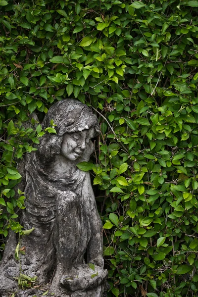 Statue con foglie verdi sfondo in giardino — Foto Stock