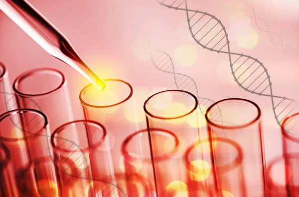 Science laboratory test tubes — Stock Photo, Image