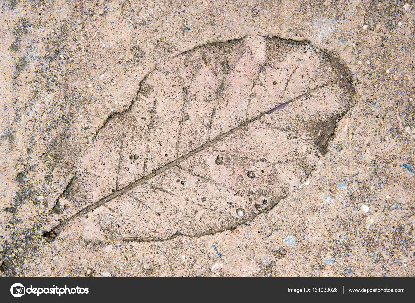 Imprint of leaf on cement floor — Stock Photo © kwanchaidp #131030026