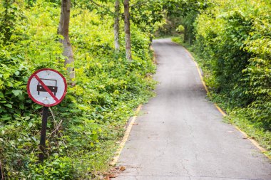 Yeşil orman Patika yolda araba yok