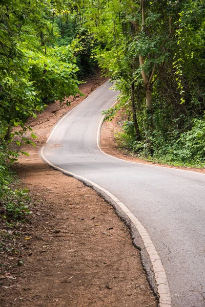 Yeşil orman yolu — Stok fotoğraf