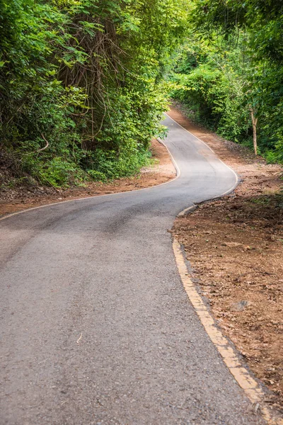 Weg naar het groene woud — Stockfoto