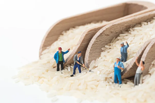 Miniature people working on uncooked rice in wooden scoop — Stock Photo, Image