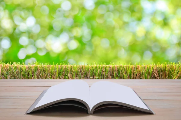 Open book with green tree bokeh background — Stock Photo, Image