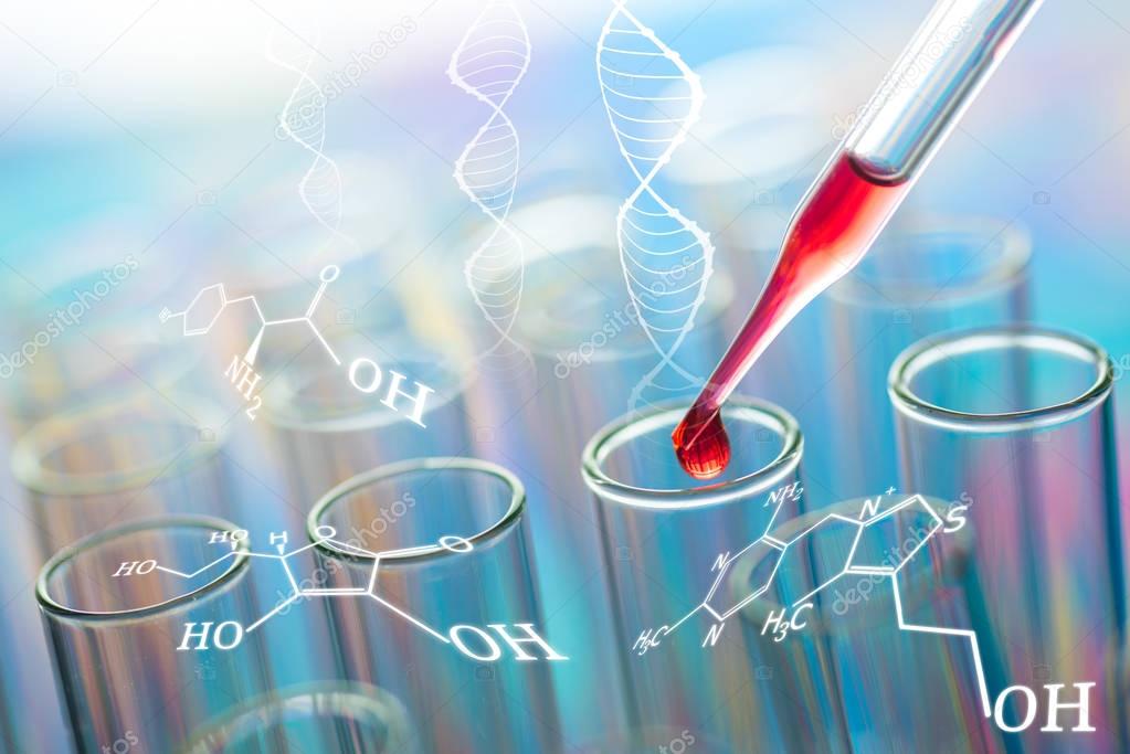 science laboratory test tubes with chemical formular , science b