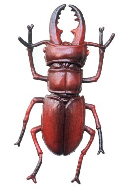 Beyaz arka plan üzerinde izole yapay böcek