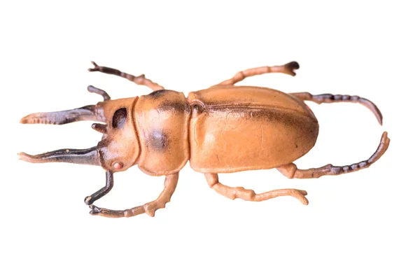 Künstliche Käfer isoliert auf weißem Hintergrund — Stockfoto