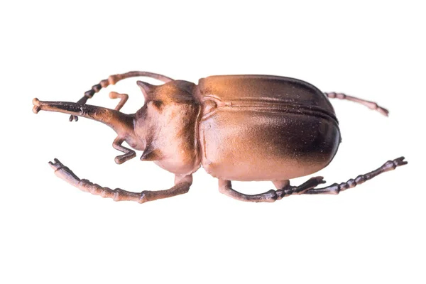 Kunstmatige bugs geïsoleerd op witte achtergrond — Stockfoto