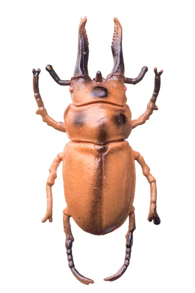 Kunstmatige bugs geïsoleerd op witte achtergrond — Stockfoto