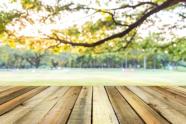 gün batımı arka plan bulanık yeşil park ahşap raf