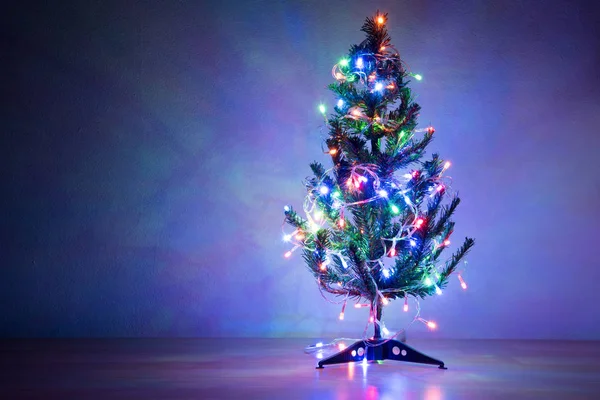 여러 색상 빛 크리스마스 트리 장식 — 스톡 사진